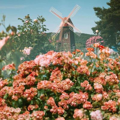 乐鱼体育app下载 - 乐鱼体育最新官方下载